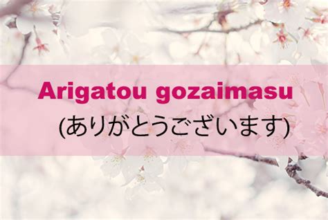 Guide: How to Say “Arigatou Gozaimasu” in Different Ways.